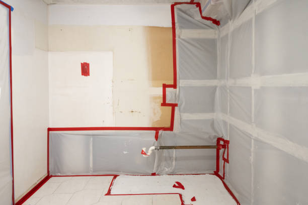 Forensic Mold Investigation in Clayton, MO