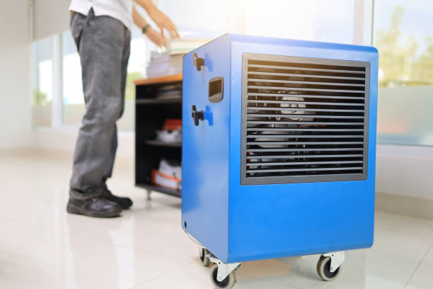 Best Airborne Mold Testing  in Clayton, MO