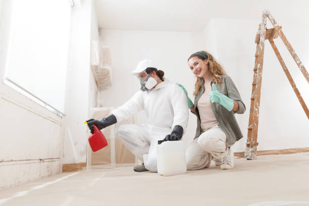 Best Water Damage & Mold Remediation  in Clayton, MO